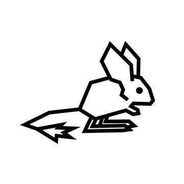 Long-eared jerboa