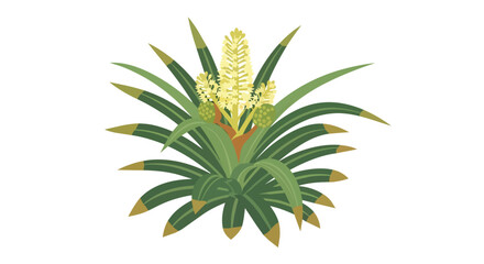 Fototapeta premium Botanical Illustration of a Blooming Bromeliad Plant with Green Spiky Leaves and Yellow Flowers Isolated on White Background