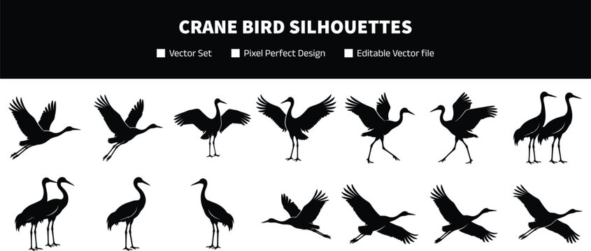 Crane bird silhouettes collection with flying landing and standing poses isolated on white background wildlife vector illustration set