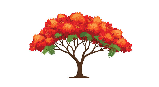 Blooming Red Flame Tree with Vibrant Orange Flowers and Green Leaves Illustration