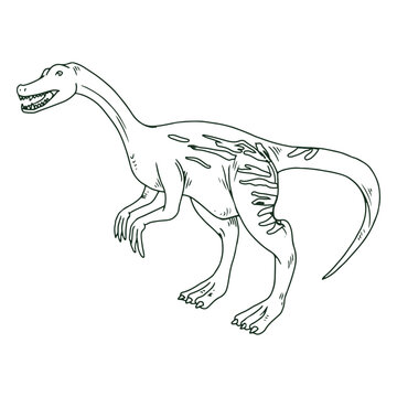 Nothronychus dinosaur