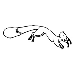 Funny flying squirrel © Vexels