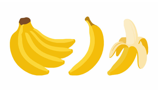 Fresh bananas vector set peeled banana bunch tropical fruit illustration
