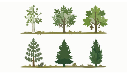 Colorful tree stickers vector deciduous and coniferous illustration set © MstLiza