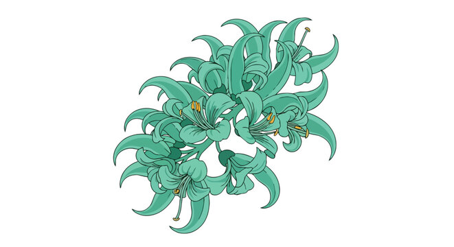 Elegant Teal Lily Flower Bouquet Illustration with Curved Petals Isolated on White Background