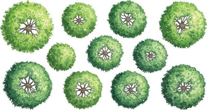 Set of green trees top view for landscape design architectural site plans and urban planning vector illustration