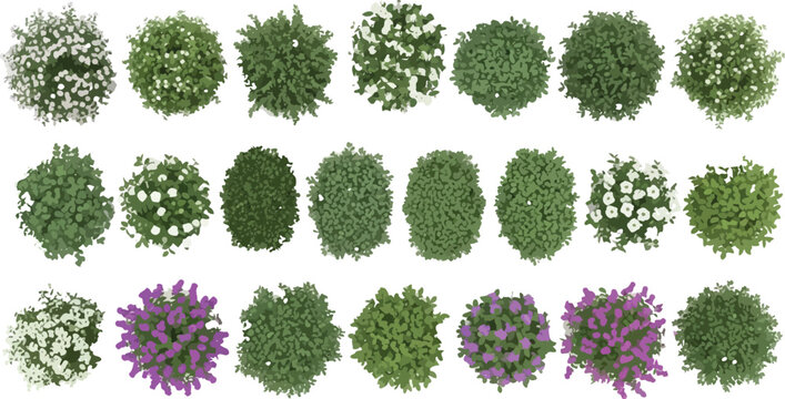 Set of top view garden bushes and flowering shrubs for architectural landscape design and site planning vector