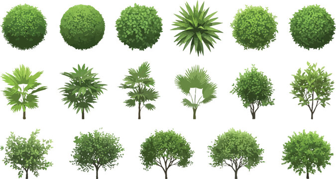 Set of various green trees and shrubs top view for architectural landscape design and site planning vector