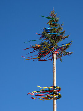 Maibaum aufstellen - Tradition zum 1. Mai - Fr&uuml;hling feiern mit bunt geschm&uuml;cktem Baum