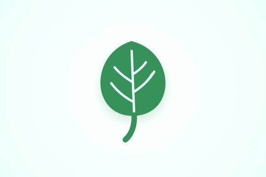 Minimalist Green Leaf Fade-In Reveal Animation &mdash; Eco Friendly Organic Nature Brand Intro Motion Graphic Template on White Background