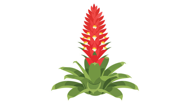 Vibrant red tropical bromeliad flower illustration with green leaves isolated on white background