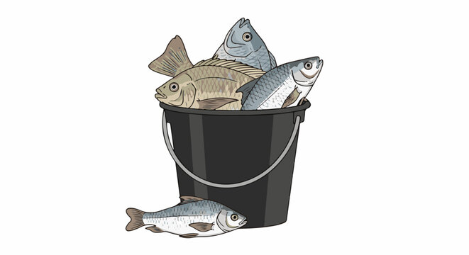 A black bucket overflowing with four assorted fish, one fish lies outside