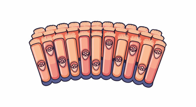 Close-up view of intestinal villi with goblet cells inside