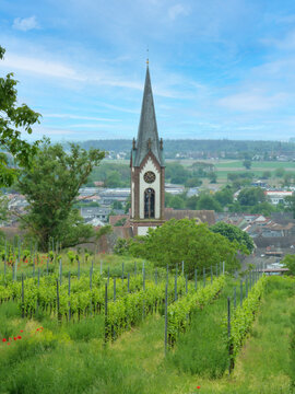 Ihringen Kaiserstuhl Germany Vineyard and Townscape View