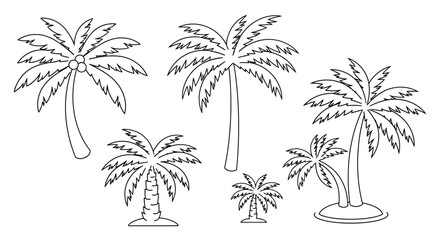 Obraz premium Group of palm trees standing tall.