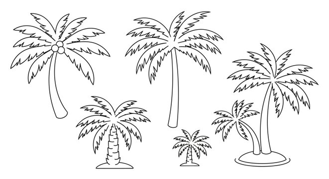Group of palm trees standing tall.