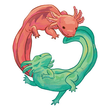 Two lizards in the shape of a circle