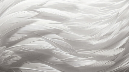 Obraz premium Cloud dancer color feather texture background. Soft feather dove bird closeup with delicate and pure details. Banner template for newborn, angelic style.