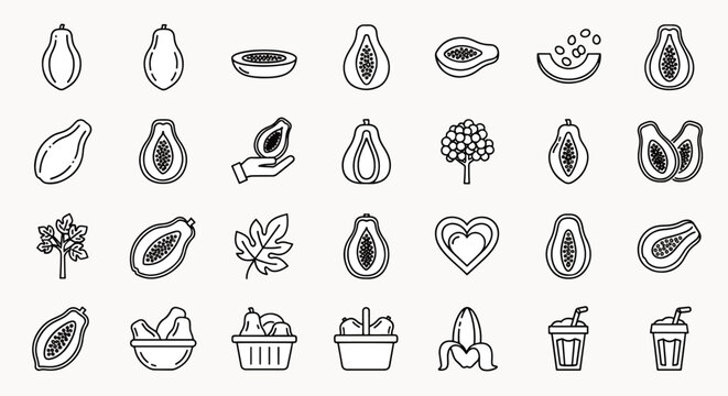 Collection of Papaya Fruit Icons Full of Health Benefits and Nutrients, Fresh Papaya Slices, and Tropical Papaya Tree Illustrations