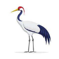 Obraz premium Elegant crane bird illustration against white background for design