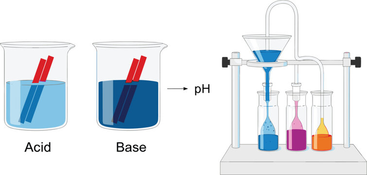 Vector illustration of acid-base experiment with pH indicators, including beakers, litmus strips, and colorful liquids