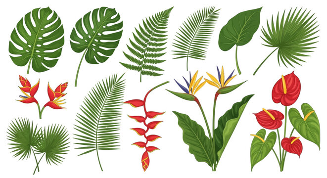 Tropical leaves and flowers illustration.