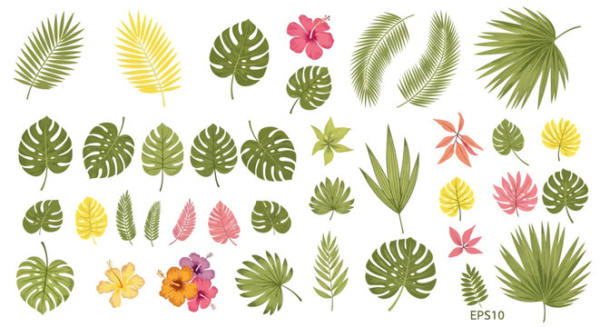 Tropical leaves and flowers illustration.
