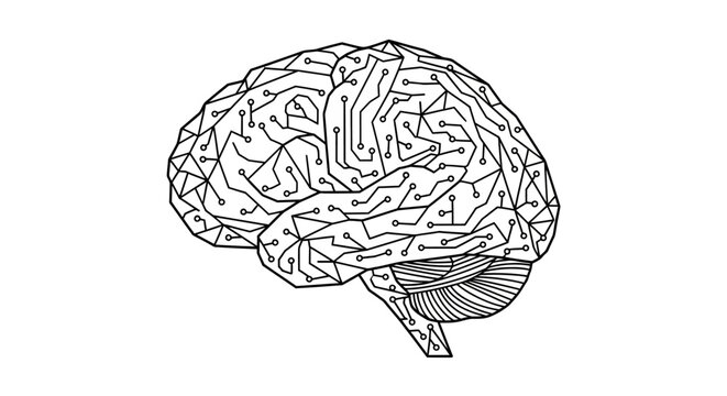 Human Brain Illustration Closeup View.