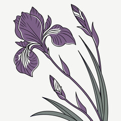 Purple iris flower graphic illustration with buds and leaves, fleur de lis © best