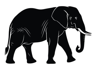 Fototapeta premium Elephant silhouette on a white background detailed illustration of an african wildlife animal