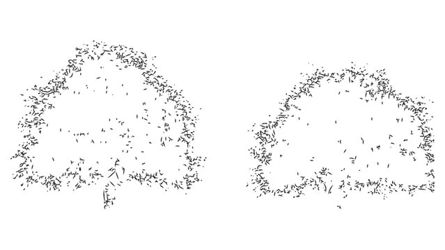 Hand drawn landscape architecture tree plan symbols for garden design and site mapping art.