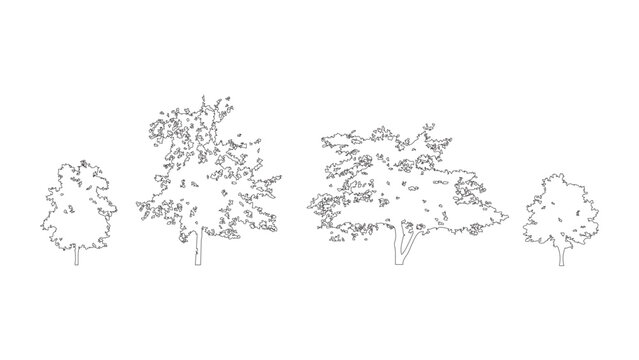 Set of four hand drawn sketchy deciduous trees isolated on transparent background vectors.