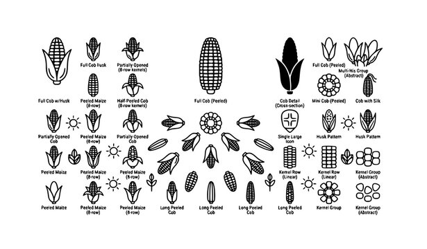 Corn and maize icon pack cob vegetable harvest agriculture outline symbol set vector collection