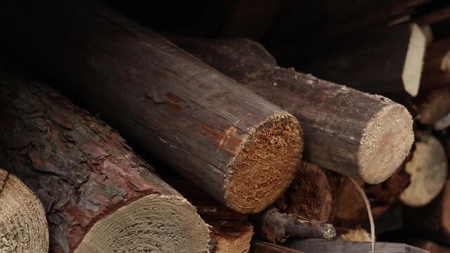 Close-up of a hand putting wood into a pile of prepared firewood. Concept of fuel harvesting, home heating and rural life. A woman's hand stacks logs in a pile, close-up. Preparing firewood