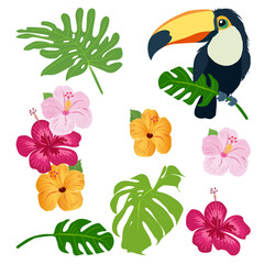 Fototapeta premium Tropical illustration with toucan, hibiscus flowers and monstera leaves isolated on light background
