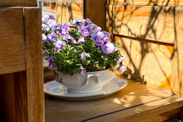 Naklejka premium Purple pansies in a ceramic pot on a wooden shelf