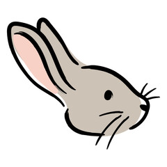 Fototapeta na wymiar Rabbit head is shown