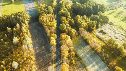 Travel background with road and autumn vegetation © AlexGo