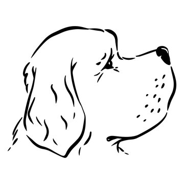 Playful dog silhouette illustration