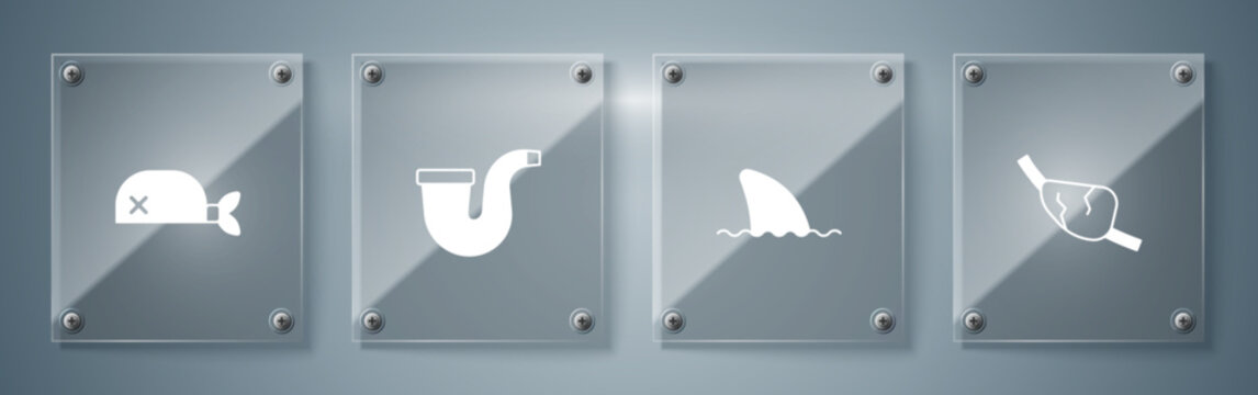 Set Pirate eye patch, Shark fin in ocean wave, Smoking pipe and bandana for head. Square glass panels. Vector