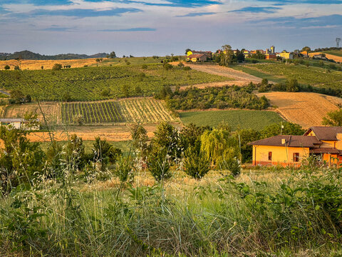 Aerial view of the rolling Tortona Hills Colli Tortonesi with lush vineyards, rural farmhouses, and golden fields under a soft blue sky in Tortona, Piedmont, Italy.