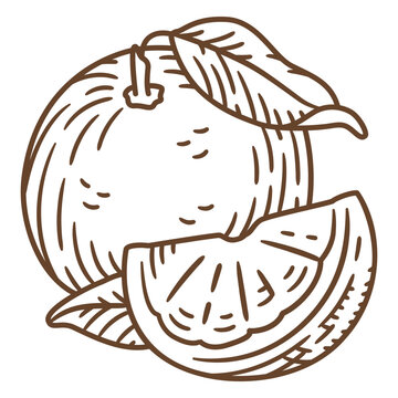 Hand drawn orange icon