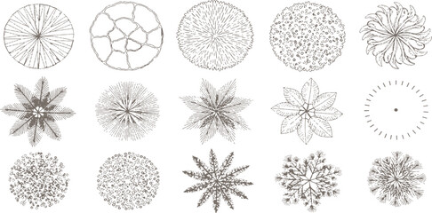 Vintage radial sunbursts floral leaf elements and abstract geometric snowflake shapes design collection vector illustration. © Design House