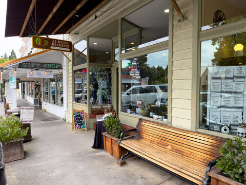 Downtown Auburn Sidewalk Shops and Boutique Storefronts