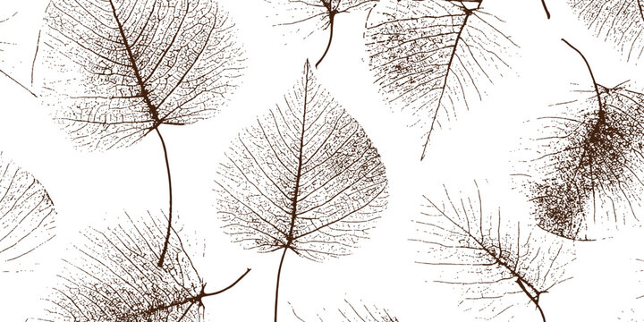 Delicate brown skeleton leaves pattern organic natural dry autumn leaf transparent texture vector illustration.