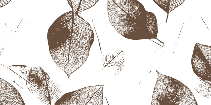Delicate brown skeleton leaves pattern organic natural dry autumn leaf transparent texture vector illustration.