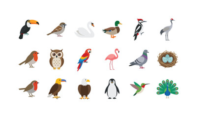 Fototapeta premium Collection of diverse cartoon birds in a flat design style