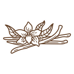 Obraz premium Brown flower with leaves