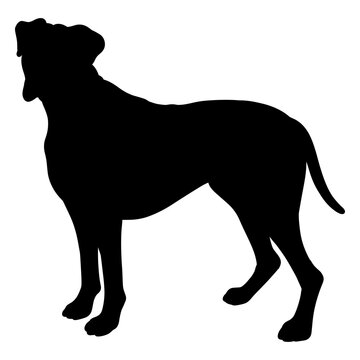 Stylized silhouette of a large dog design