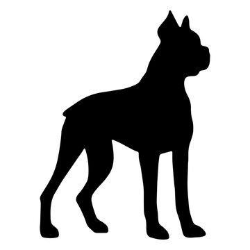 Elegant silhouette of a standing dog design